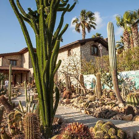 Гостьовий будинок Garden Cactus Вілладджо-Мозе Екстер'єр фото