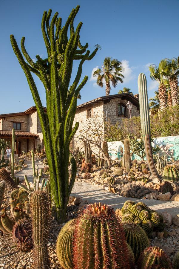 Гостьовий будинок Garden Cactus Вілладджо-Мозе Екстер'єр фото